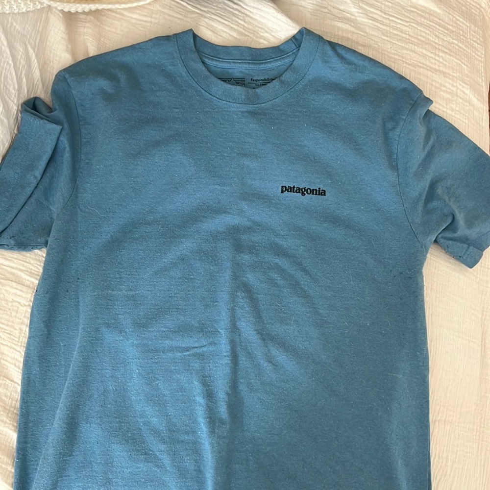 Patagonia Tee